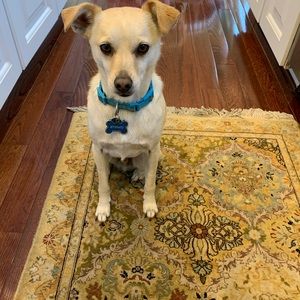 Meet your Posher, Marissa